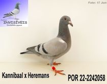 POR 22-2242058